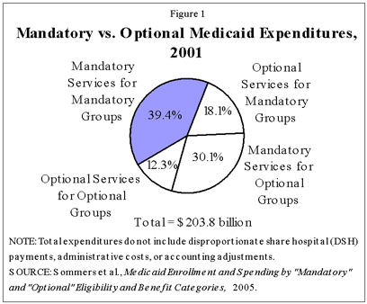 medicaid. Optional Medicaid Expenditures
