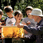Beekeeper Chris Harp and Students
