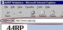 screen shot of address box