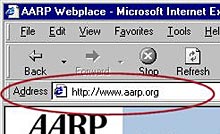 screen shot of address box