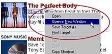 screen shot of : open in new window menu