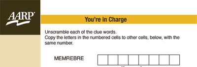 You're in Charge Puzzle