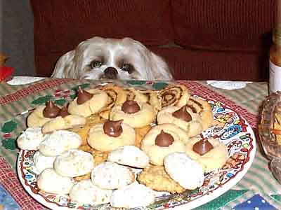 eyeing the Christmas cookies