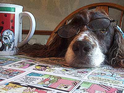dog reading funny papers