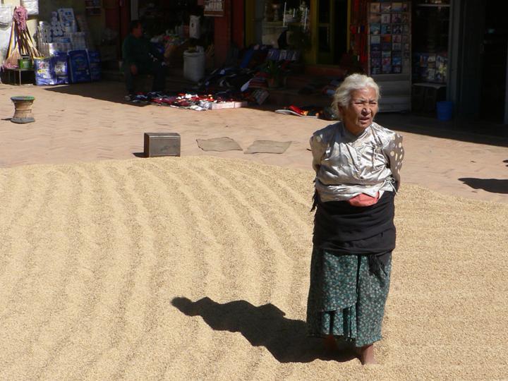 Tibetan refugee