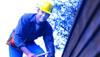 Evergreen:  Home Repairman