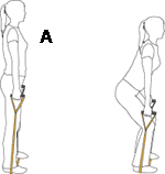 deep knee bends