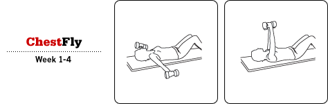 Chest Fly
