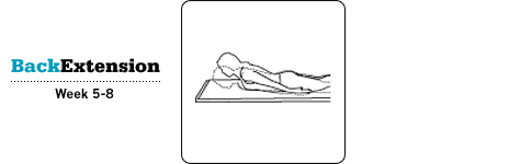 Back Extension