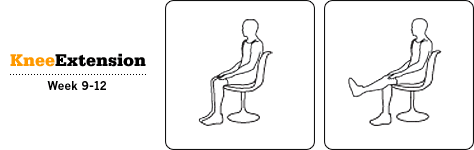 Knee Extension