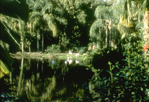 Opera House in Sarasota